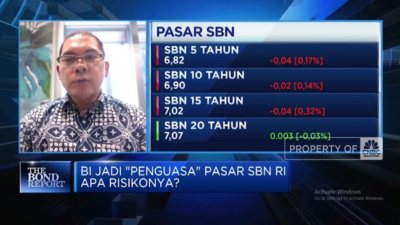 Menguasai Surat Berharga Negara hingga 28%: Apa Dampaknya?