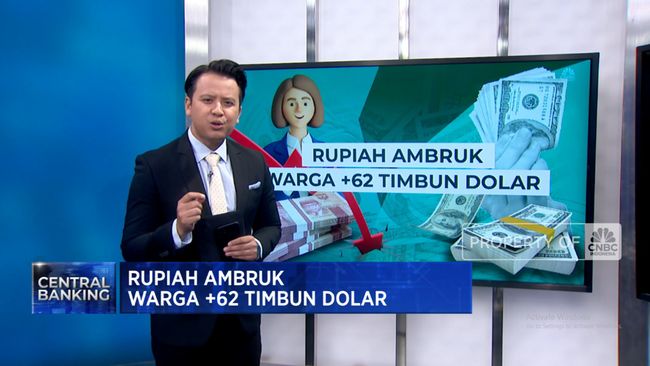 Rupiah Berayun, Masyarakat Indonesia Menimbun Dolar