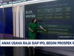 Rencana IPO Anak Usaha RAJA di Tahun Baru: Peluang Prospek RATU yang Harus Diperhatikan!