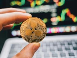 XRP Mengalahkan Kapitalisasi Pasar Solana, 2 Investor Ini Raih Keuntungan Besar