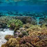 Agoda Ungkap Destinasi Alam Favorit untuk Libur Maulid Nabi