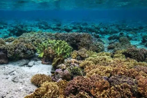 Agoda Ungkap Destinasi Alam Favorit untuk Libur Maulid Nabi