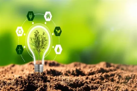 Indonesia Dorong Transisi Hijau Inklusif dan Ketahanan Energi di ASEAN