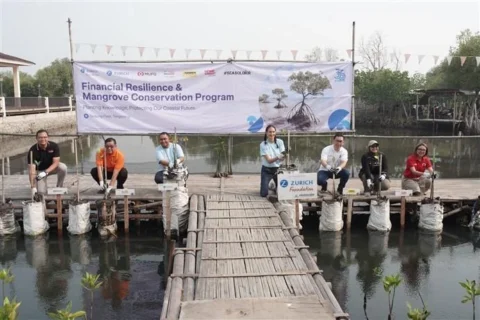 Zurich dan Ekosistem MUFG Group Tanam 1.000 Mangrove di Tangerang lewat Program Sayang Bumiku